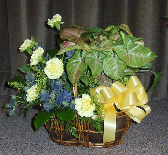 Flowers from Jack & Donna, Marty & Debbie and Family, Marie & Rosie, Brad and Vicki and Family