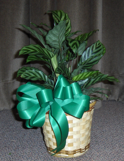 Flowers from Haakon-Jackson 4-H Council