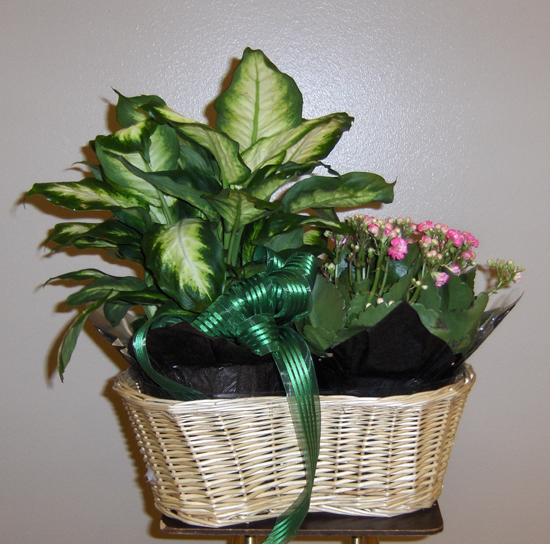 Flowers from Ronnie & Janice