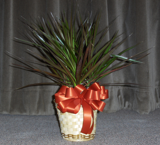 Flowers from Bob & Shandon Fugate