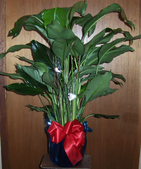 Flowers from Brian, Heather, Brock, Brice and Taylor, Arthur and Judy
