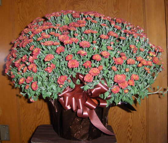 Flowers from Jack & Lynn Beemer