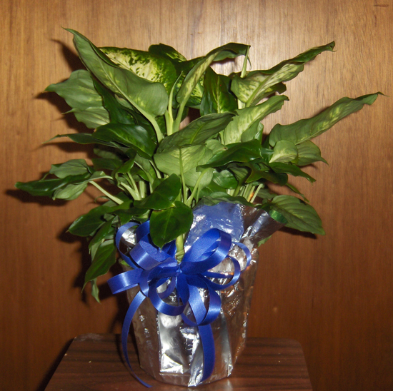 Flowers from The Fugates - Bob & Shandon and Boys