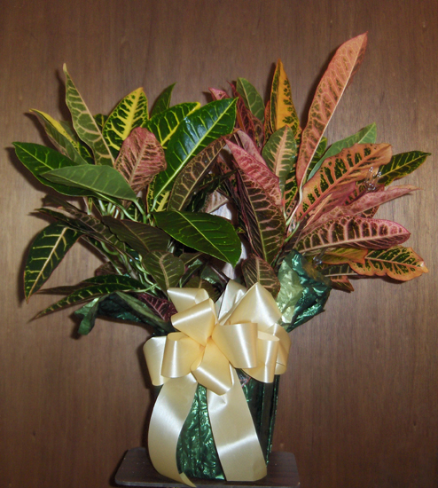 Flowers from Lawrence & Lori Schreiber