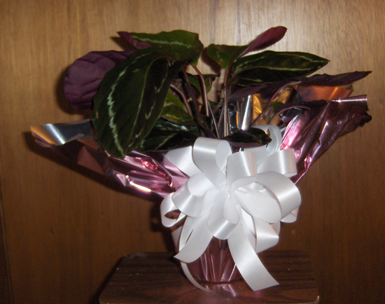 Flowers from One Fine Day - Lois & Debbie