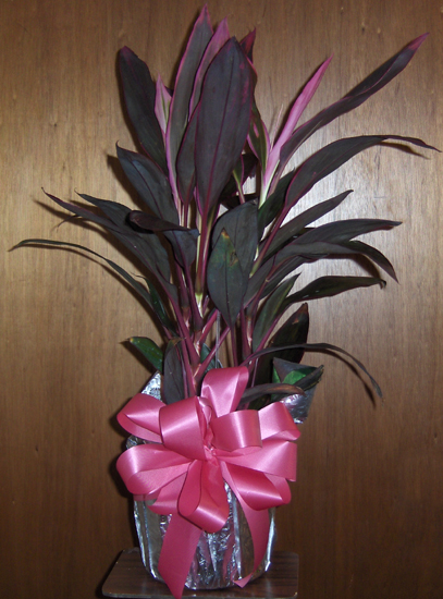 Flowers from The Dream Team of Network 32