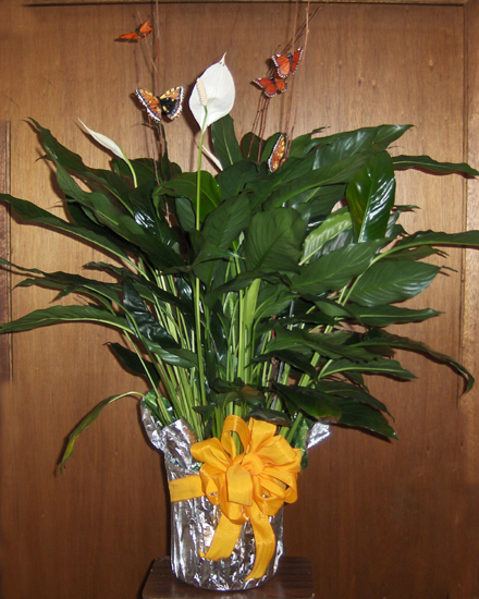 Flowers from All the employees at Ravellette Publications