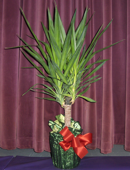 Flowers from Don Shepard, Jan Booth, Mike & Judy Yoksh