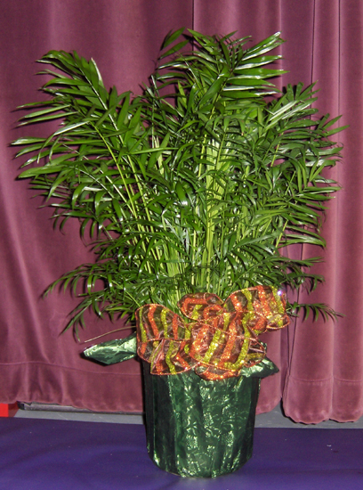 Flowers from Heartland Crop Insurance Guys