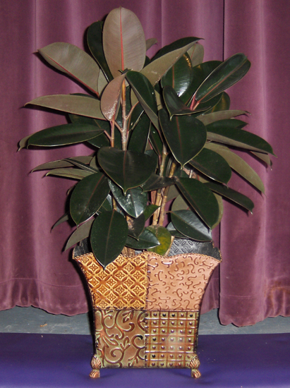 Flowers from Bill & Lori Sutton, Kylie & MIke Knudson, Tate & Heidi Sutton, Holist & Mandy Sutton