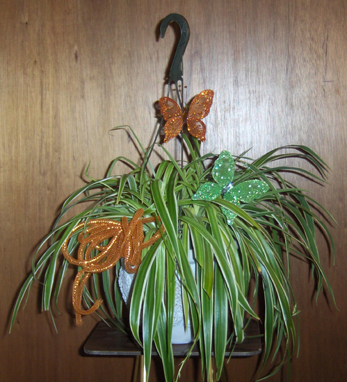 Flowers from Jim & Janet Luedtka