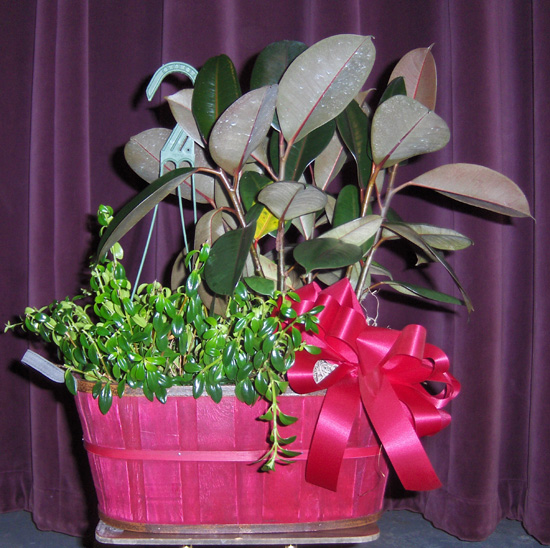 Flowers from Kennedy Implement