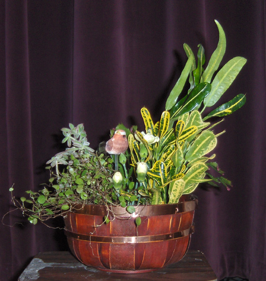 Flowers from The Weible Cousins:  Wes & Sharon, Glen & Cheryl, Don & Ruby, Patty & Marshall, Paula & Teddy