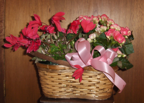 Flowers from Marilyn & Warren Bergheim, Tom & Janet Schofield and Family