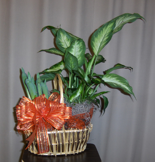 Flowers from Jim & Vicki Willard