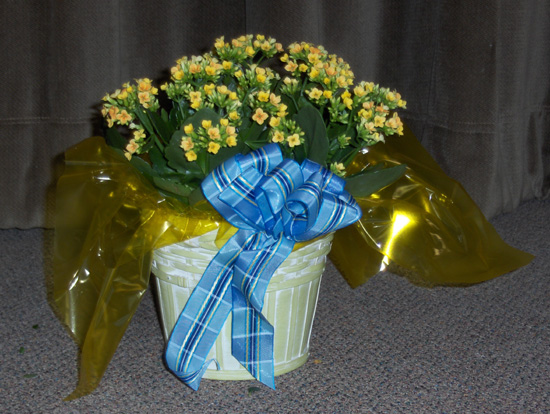 Flowers from One Fine Day - Lois and Debbie