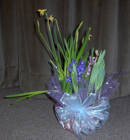 Flowers from Kerry & Glen and Family
