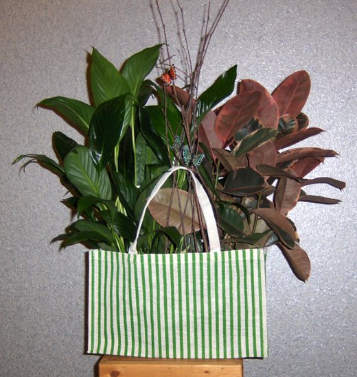 Flowers from Scenic Ladies Aide