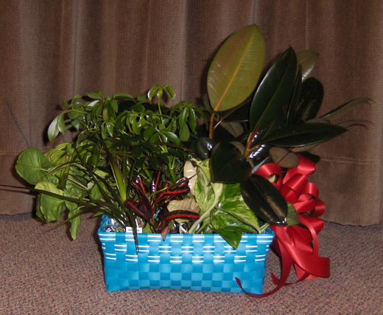 Flowers from Owyhee County Sheriff's Posse