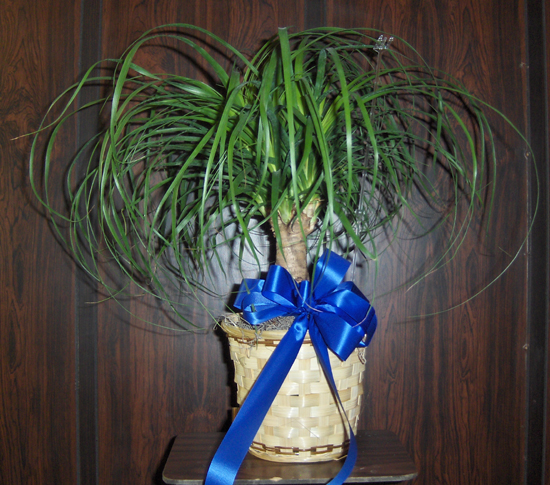 Flowers from Venard Inc. (Triple H Truckstop)