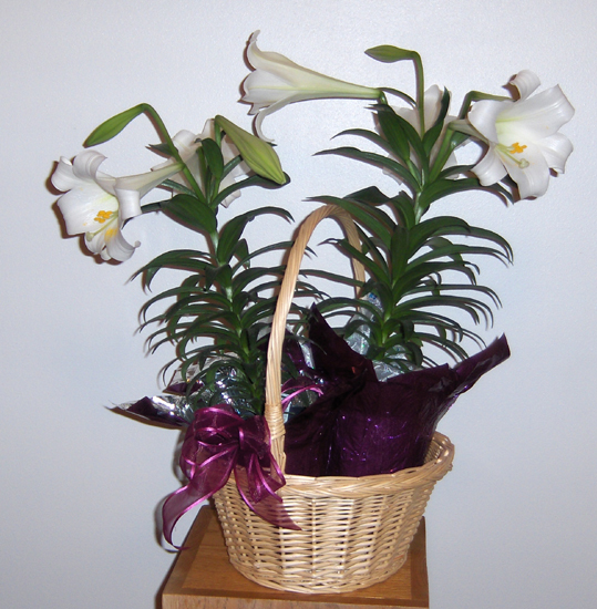 Flowers from Mike & Anita Heathershaw and Family and the Heathershaw Families