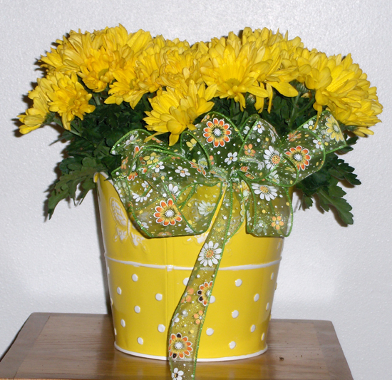 Flowers from Western Junior Livestock Show