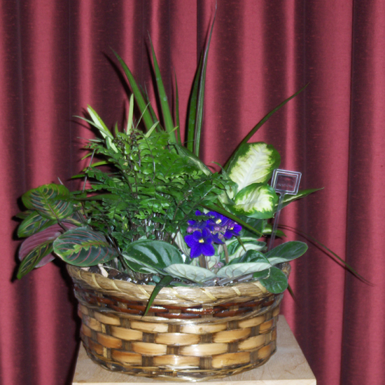 Flowers from Sioux Nation and Staff