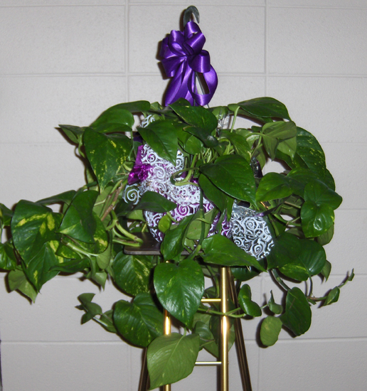 Flowers from Allen & Elsie Morrison and Family