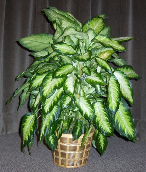 Flowers from Roy Roseth and the Roseth Brothers