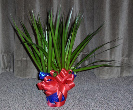 Flowers from Butch and Ann Kitterman and Jeff