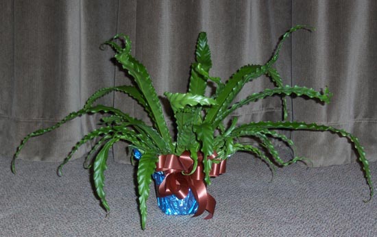 Flowers from Marty & Tricia Burns 