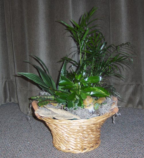 Flowers from Petals & Pots - Juanita & Veryl Schroeder