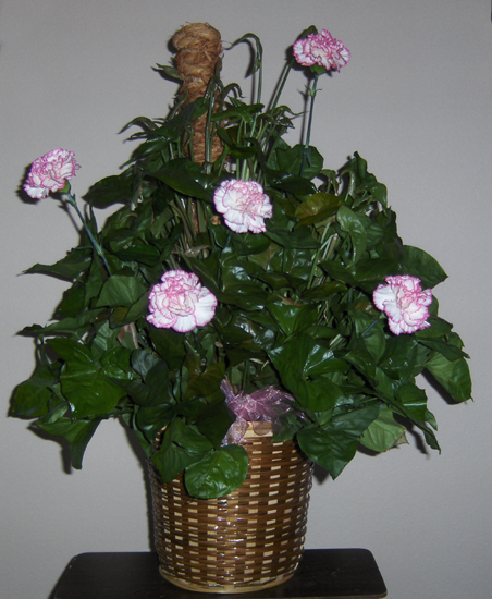 Flowers from John & Kimberley Thune