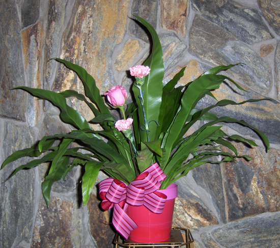 Flowers from Dan & Cindy Hauk