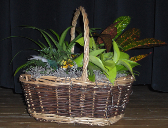 Flowers from Juanita & Veryl Schroeder