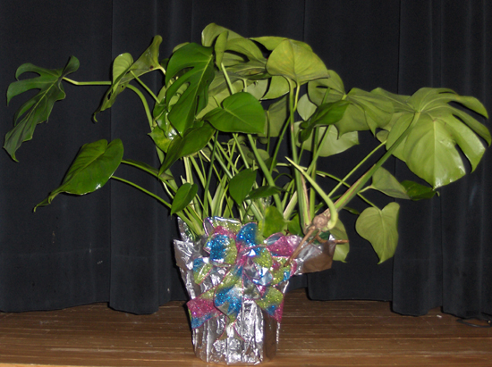 Flowers from Glenn, Rita, Trace & Jennifer
