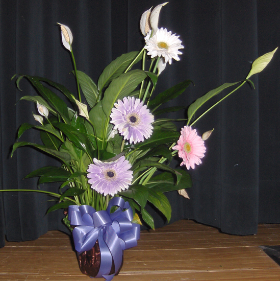 Flowers from Officers & Associates Auto-Owners Insurance Company