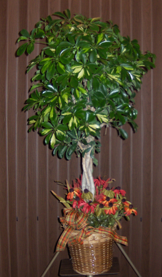 Flowers from Doug & Justine Estes - EconoLodge Motel, Super 8, Days Inn, and Wall Motel Staff and Employees