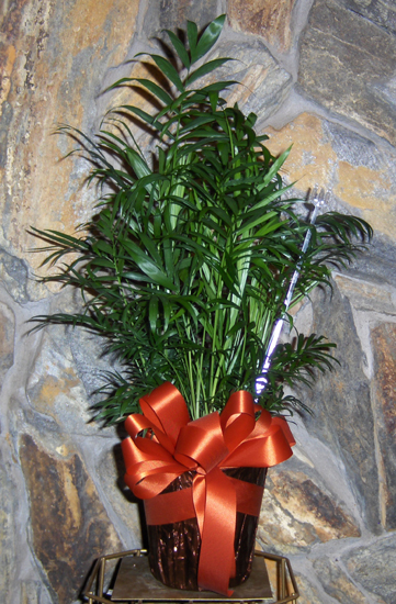 Flowers from The Gittings Family - PeeWee & Peggy, Leo & Judy, George & Sandee, Charles & Diane