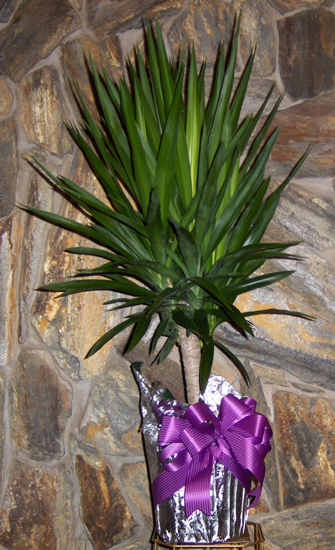 Flowers from Employees at Scotchman Industries