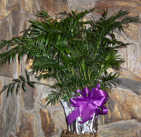 Flowers from The Niemitalo Family