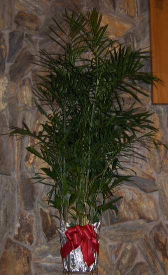 Flowers from JJ, Christine, Gypsy and Romy