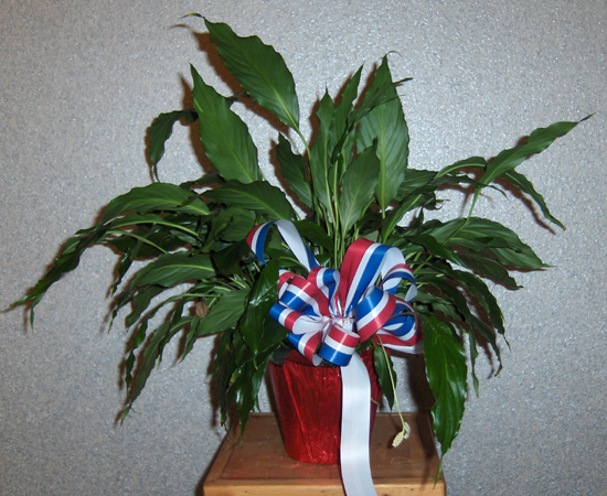 Flowers from Class of 1976