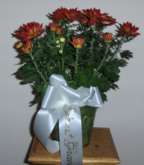 Flowers from "Great-Grandma"