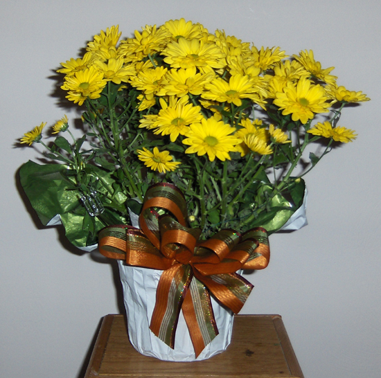 Flowers from Alice Williams and Family