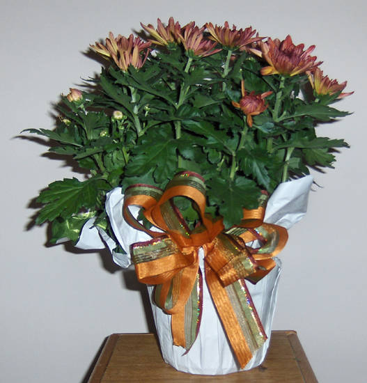 Flowers from Maurice & Cathie and Family