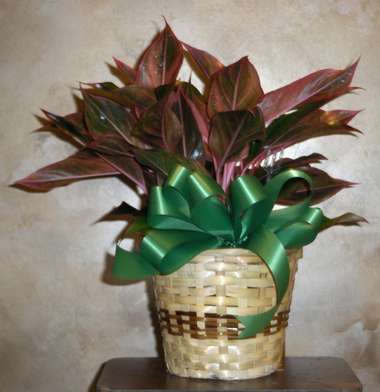 Flowers from FNB - Midland, Shaun and Sherrie