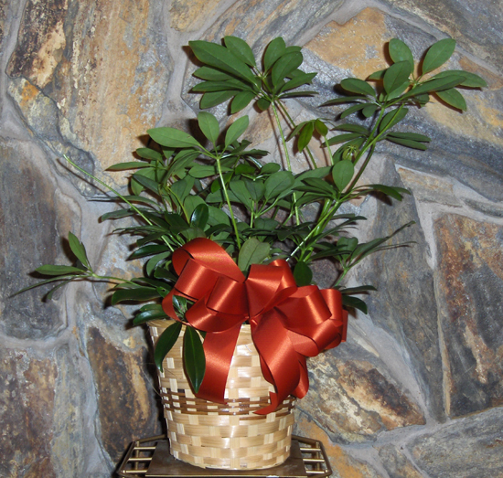 Flowers from Daktronics 