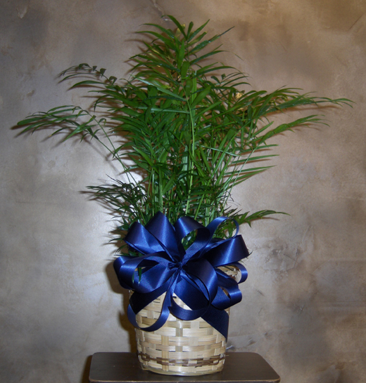 Flowers from Scott and Diane Huber
