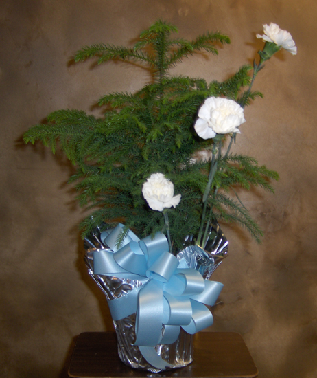Flowers from Mark, Amy, Isabella, Elianna Osborn, Eric Wiedenman and Linda